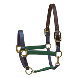 Perri's Color Vision Halter Navy/Hunter