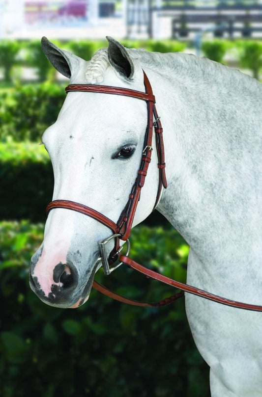 Pessoa Fancy Stitch Bridle