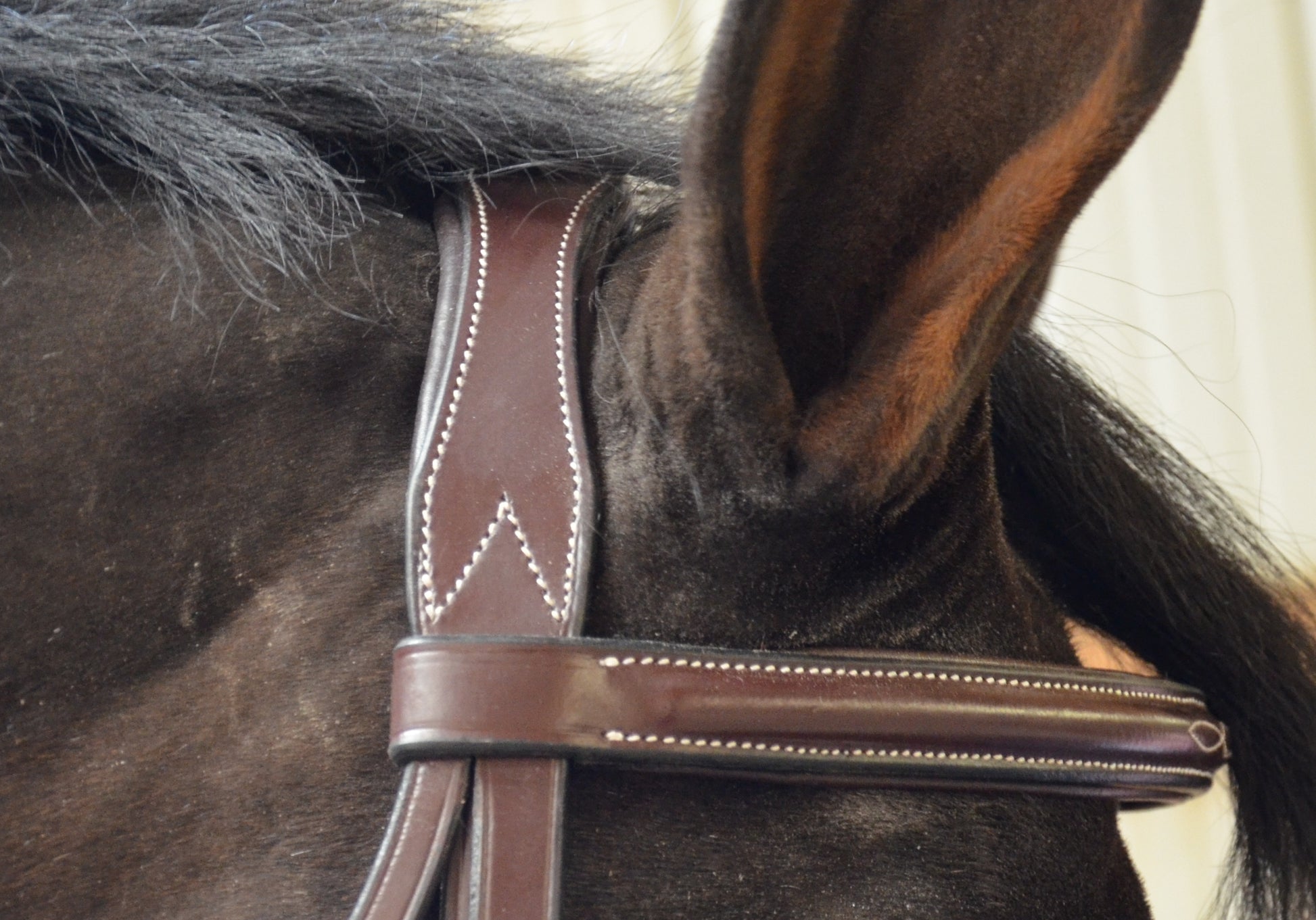 black oak cyprus bridle k l select crown detail