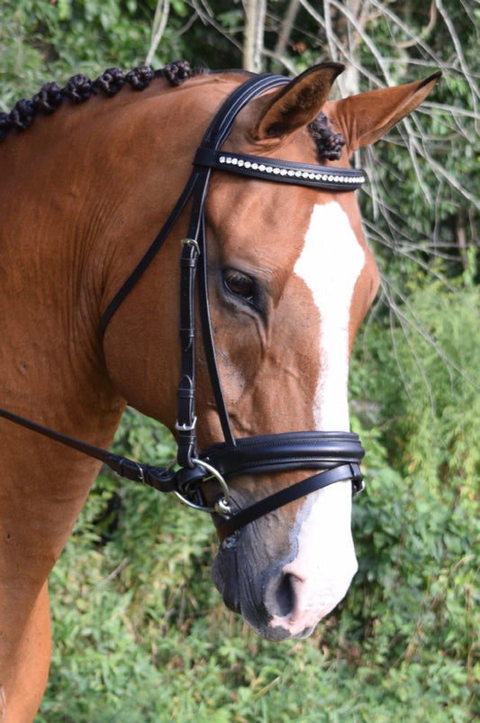 Black Oak Larkspur Dressage Bridle