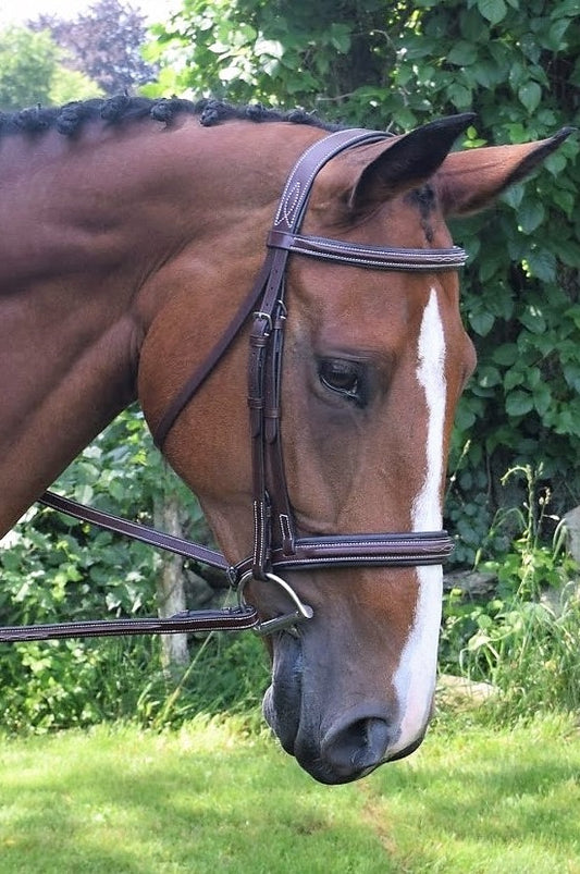 Black Oak Laurel Bridle