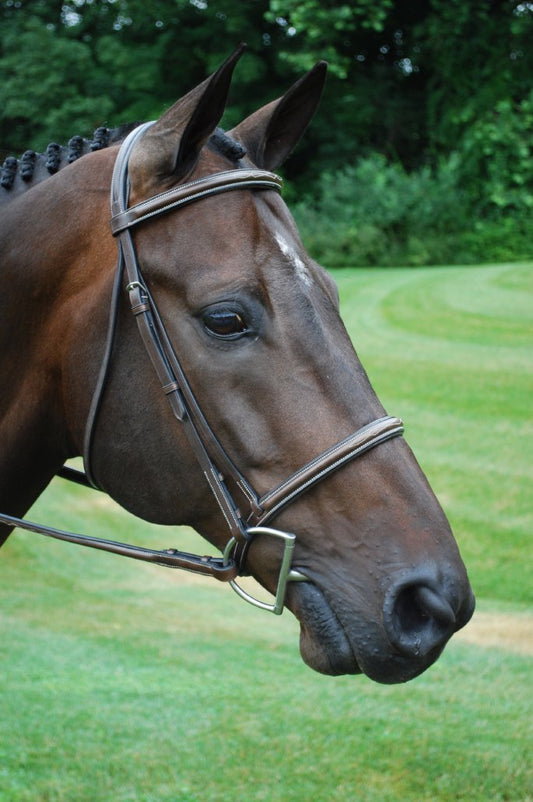 KL Italia Venezia Bridle